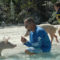 Freeport Bahamas swim with the pigs